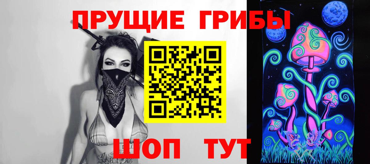 Псилоцибиновые грибы Psilocybe Костомукша