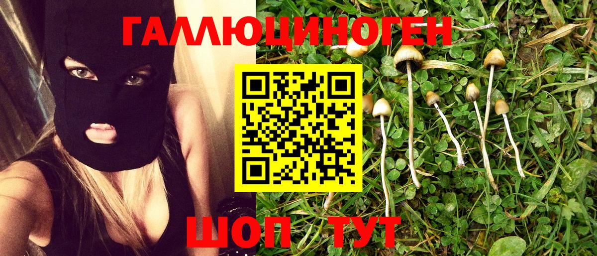 Псилоцибиновые грибы ЛСД  Псилоцибиновые грибы Psilocybine cubensis  Костомукша  Вход с VPN 